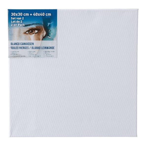 Toile(s) de peinture