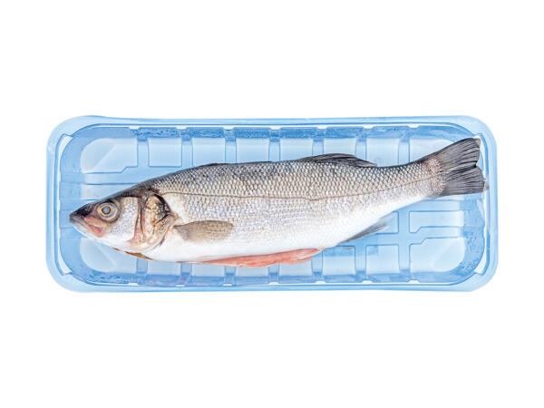 Italian Sea Bass Fillets