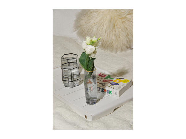 Root7 Assorted Tumbler