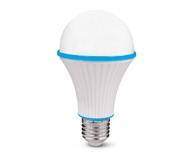 Lightway 2-Pack Motion Sensor LED Light Bulb