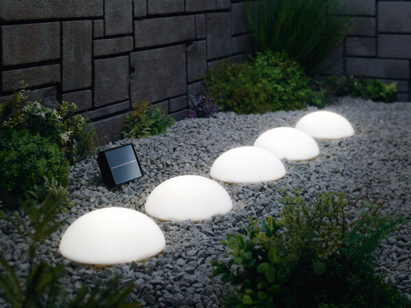 Fairy Lights