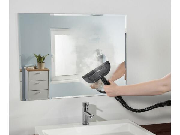 Hand-held steam cleaner