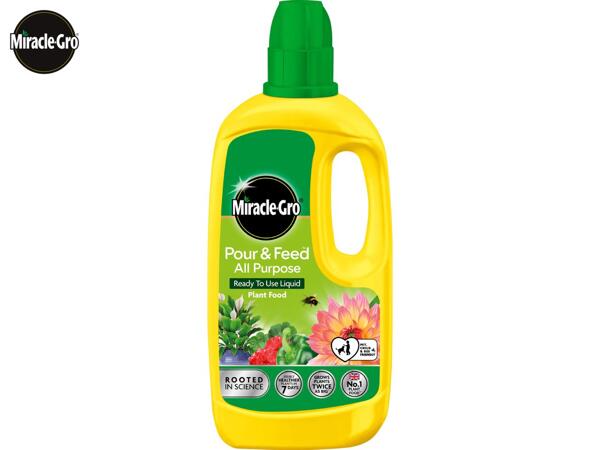 Levington Tomorite/​1L Miracle-Gro Pour & Feed