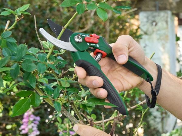 Universal/​Bypass/​Anvil Secateurs