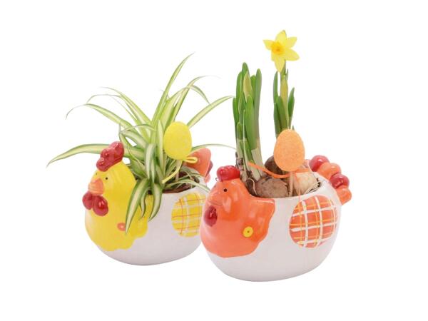 Easter Hen with Daffodils