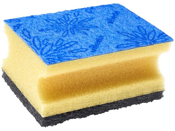 Cleaning Sponges