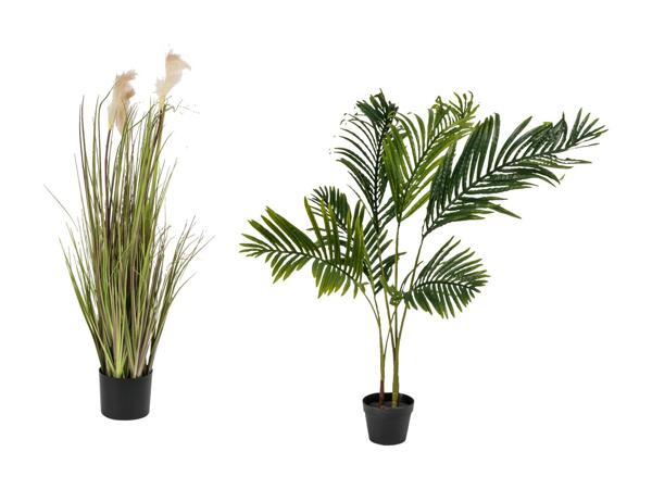 LIVARNO HOME(R) Kunstig plante