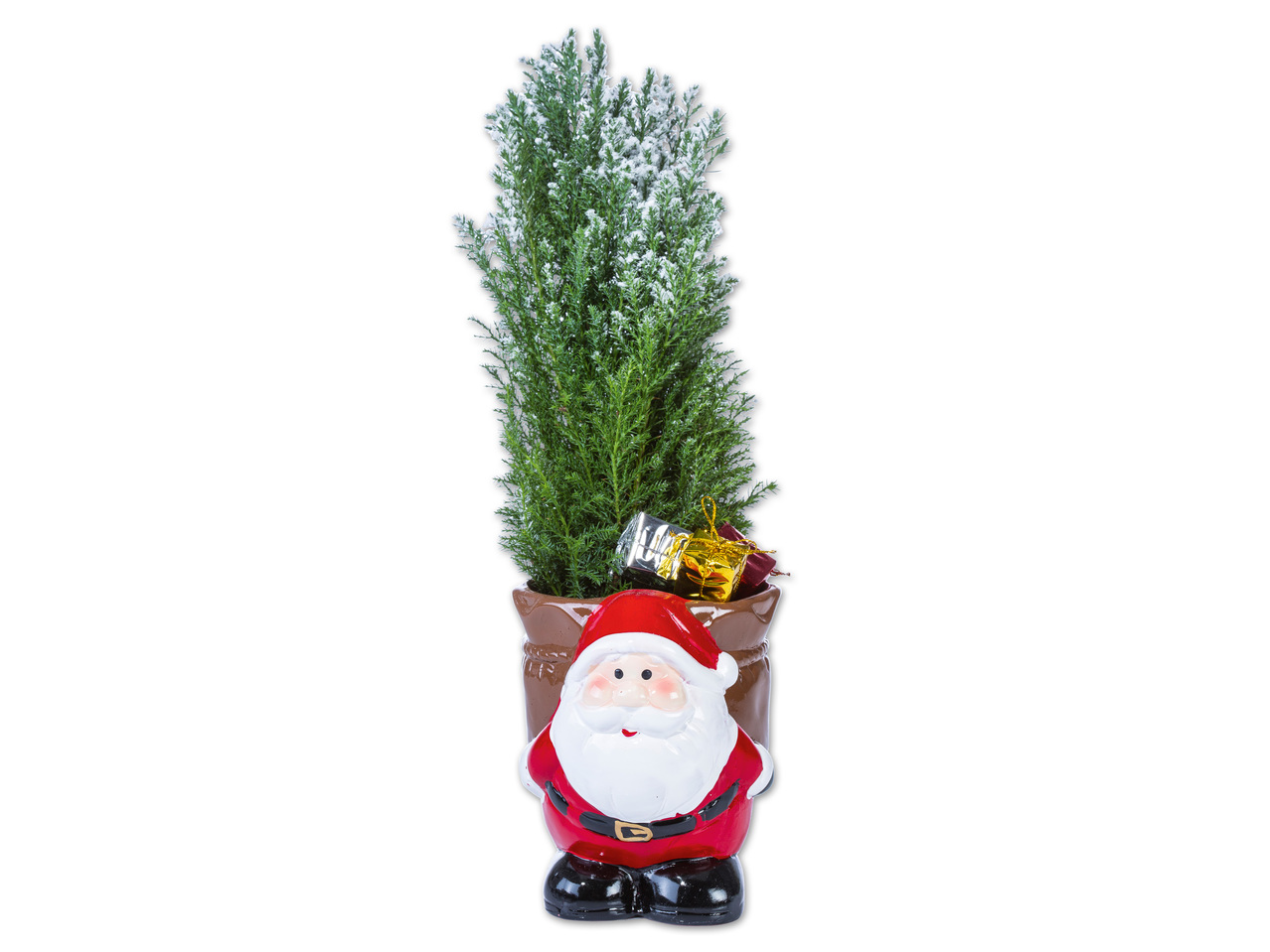 Bepflanzter Weihnachtsmann mit Konifere