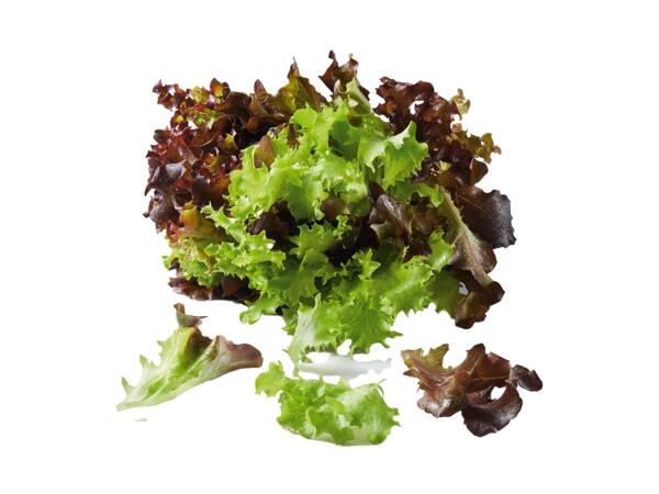 Salad Trio
