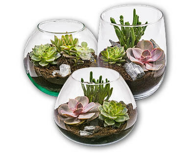 Composizione in vaso di vetro