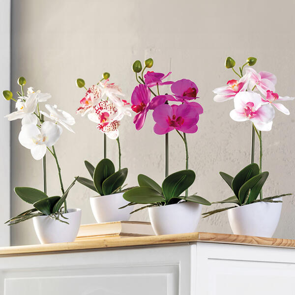 Deko-Orchidee