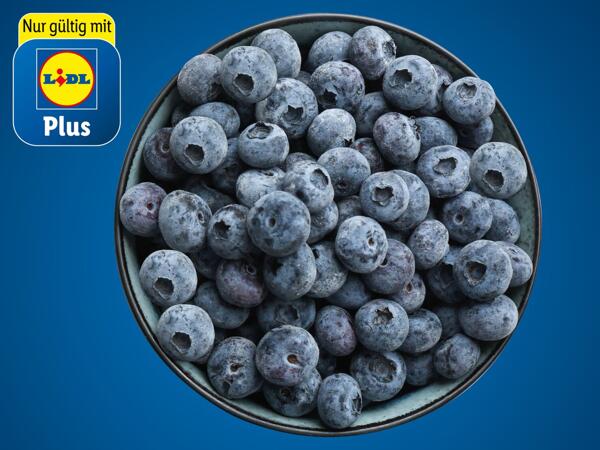 Heidelbeeren aus der Steiermark