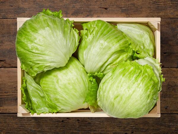 Lattuga iceberg