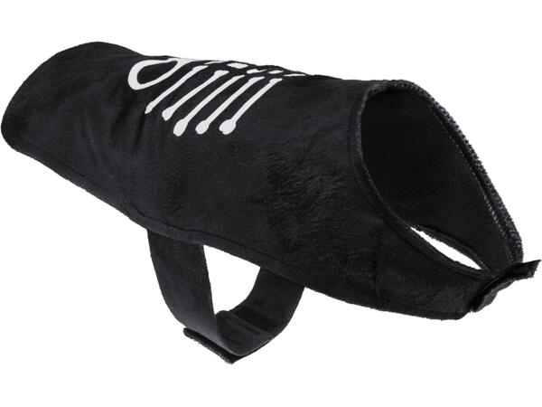 Halloweendräkt för hund