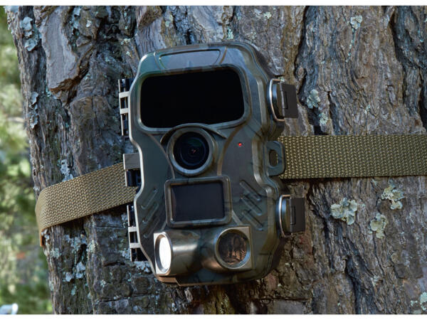 Wildlife Surveillance Camera