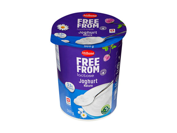 Yogurt al naturale senza lattosio