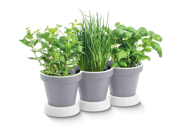 Parkside 3-in-1 Herb Planter