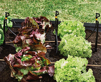 Garden Sprinkler Kit