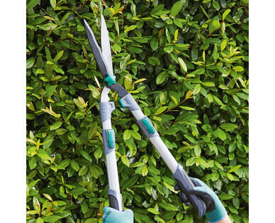 Telescopic Hedge Shears, Anvil Lopper or Bypass Lopper