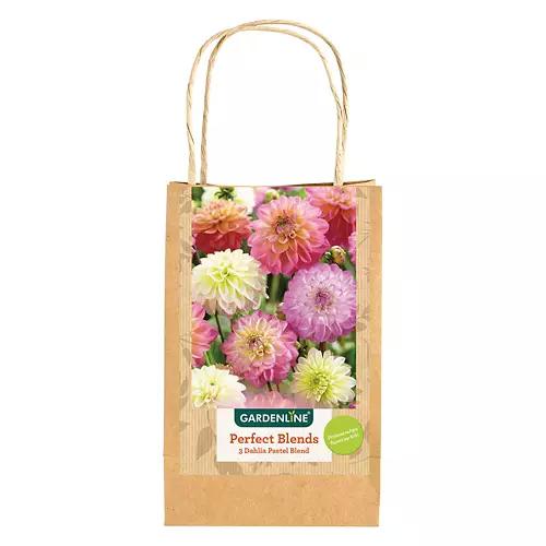 Sun or Shade Lovers Bulbs - Assorted Varieties