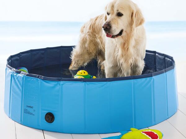 Dog Pool