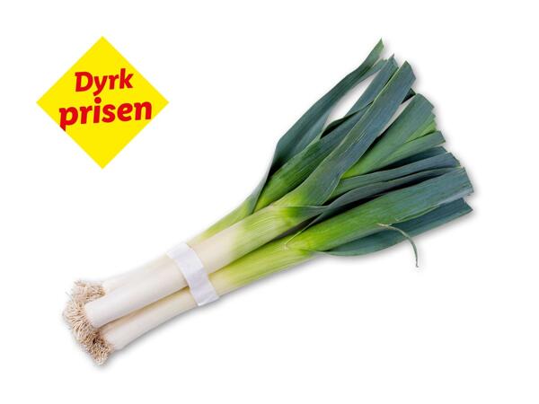 Danske porrer