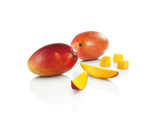 Mangue