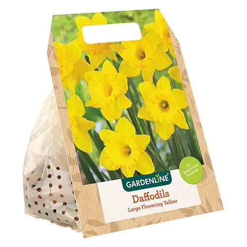 Fall Bulb - Assorted Varieties