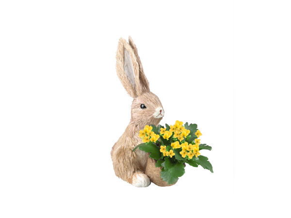 Small Easter Bunny