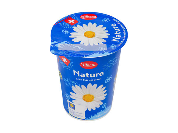 Yogourt nature 3,5%