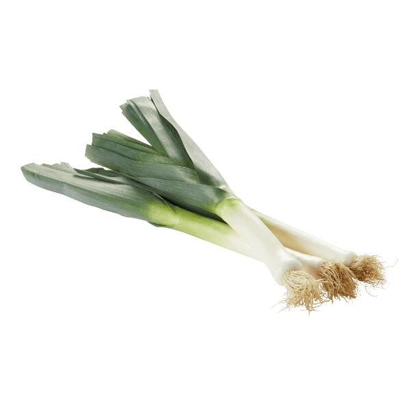 Lauch