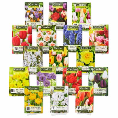 Bulbes à fleurs