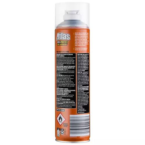 Wasp Spray 350g
