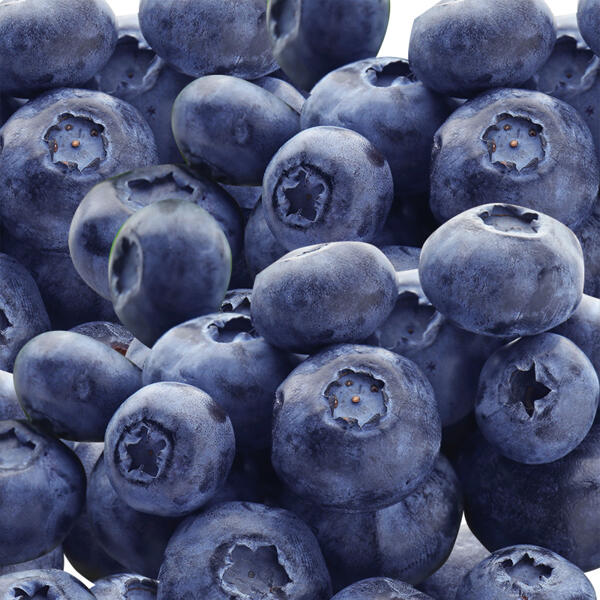 Premium Heidelbeeren