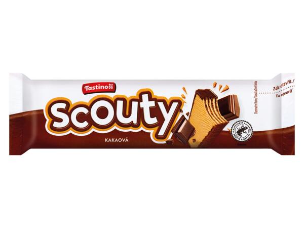 SCOUTY OPLATKA