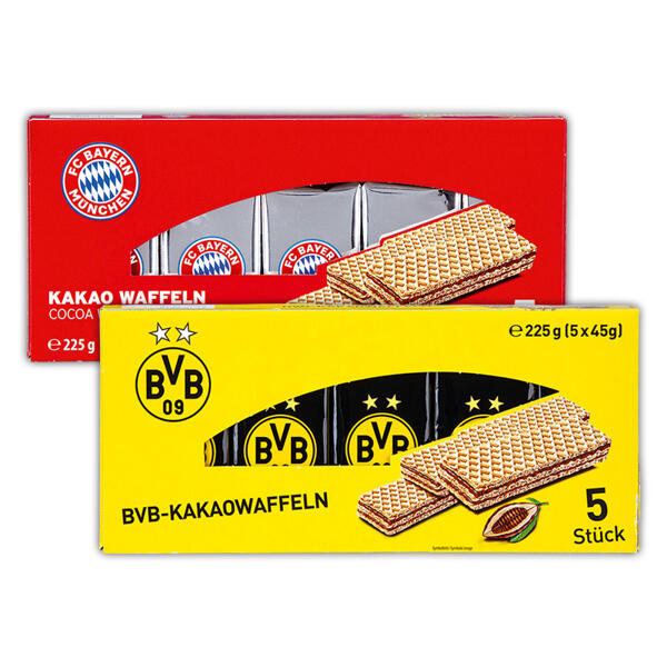 FCB / BVB Fan-Mix