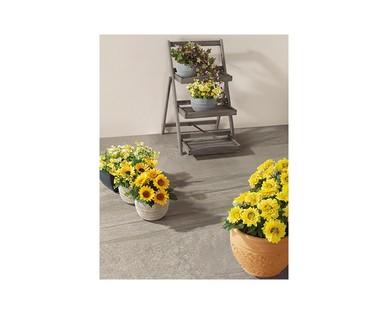 Gardenline Step Planter