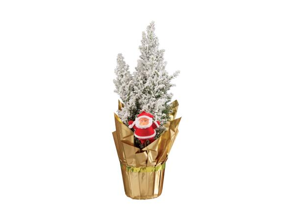 Snowy Christmas Tree