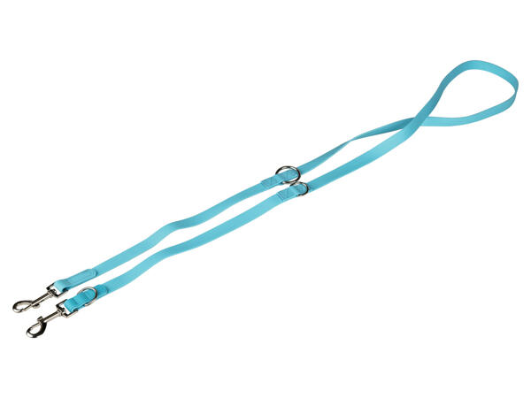 Dog Collar and Lead