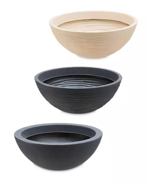 Plant Bowl
