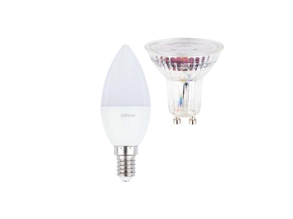 LED Light Bulbs
