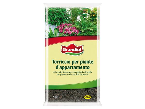 Houseplants Soil