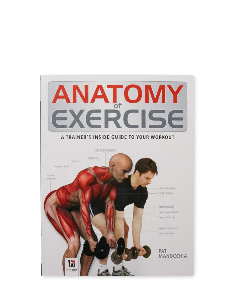 Anatomy Of Exercise