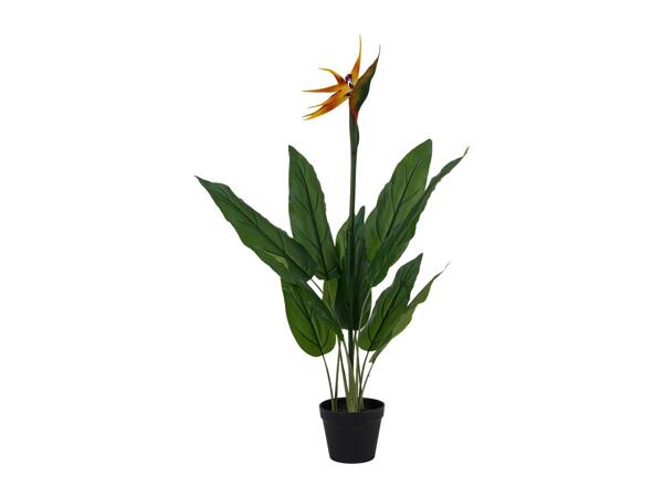 Livarno Home Artificial Strelitzia