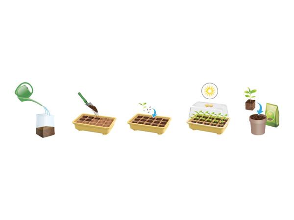 Parkside Organic Vegetables Mini-Greenhouse