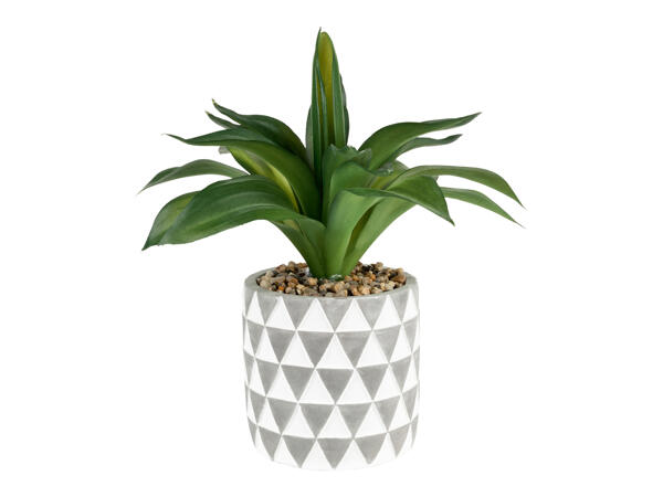 Artificial Plant