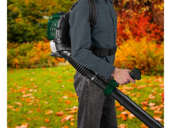 Petrol Leaf Blower