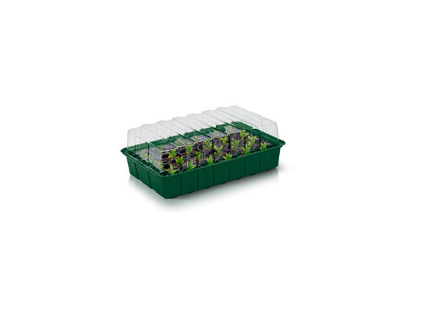 Propagator Set