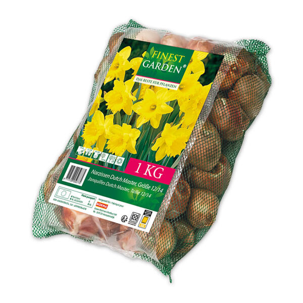 Blumenzwiebeln Narzissen / Tulpen