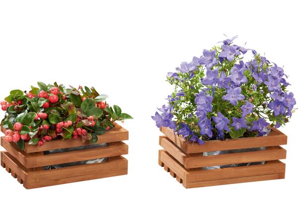 Wooden Planter Assortment